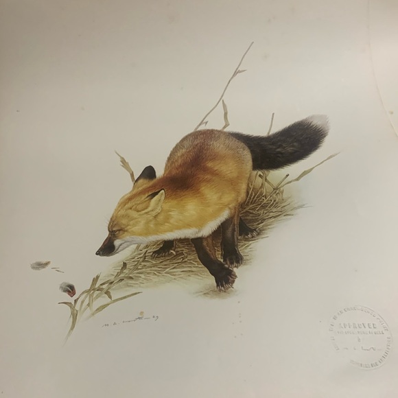 Glen Loates “FOX” 18 x 23 in signed / sealed lithograph - Picture 1 of 13